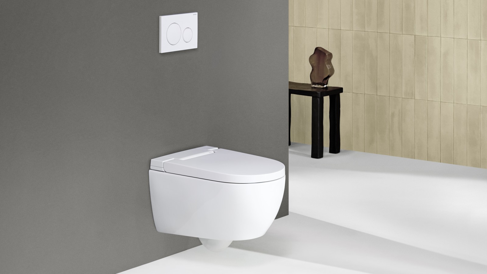 Geberit AquaClean Alba Sigma20 puldiga
