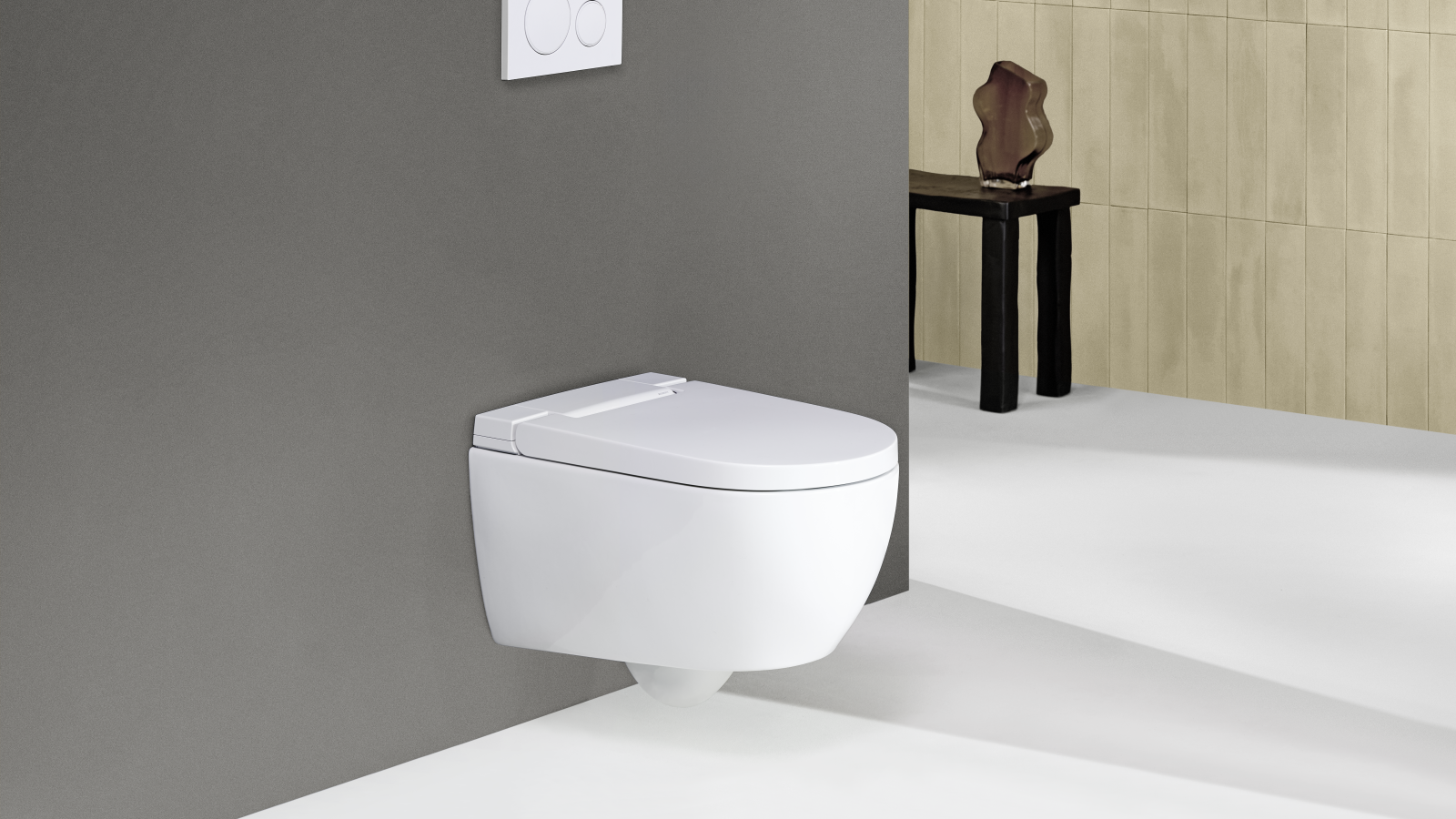 Geberit AquaClean Alba Sigma20 puldiga Geberit AquaClean Alba Sigma20 puldiga